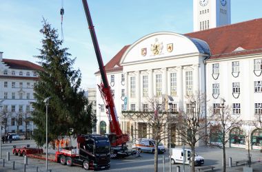 Vor dem Sonneberger Rathaus stellt ein Kran einen großen Weihnachtsbaum auf.