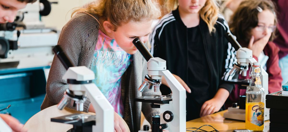 Kinder schauen durch Mikroskope.