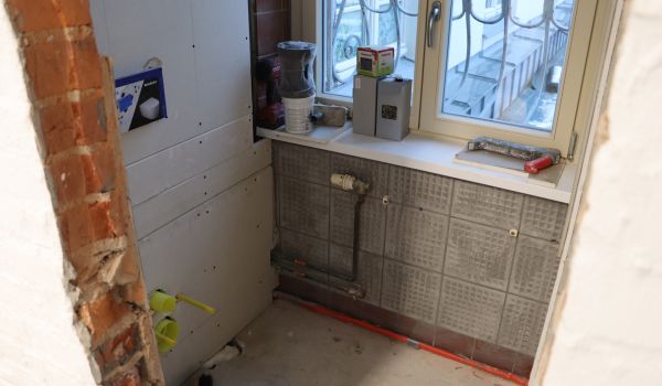 Robau unter einem Fenster.