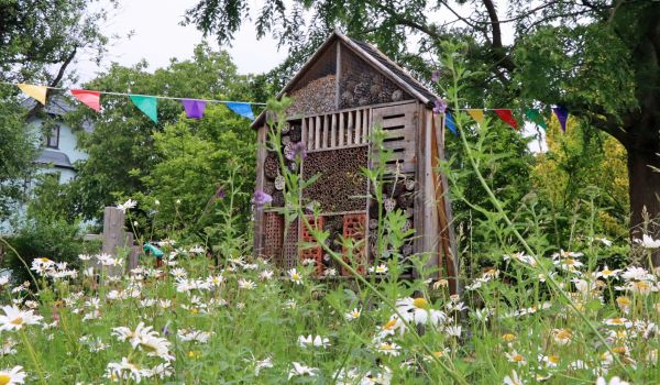 In einer Wiese mit Blumen steht ein Insektenhotel.