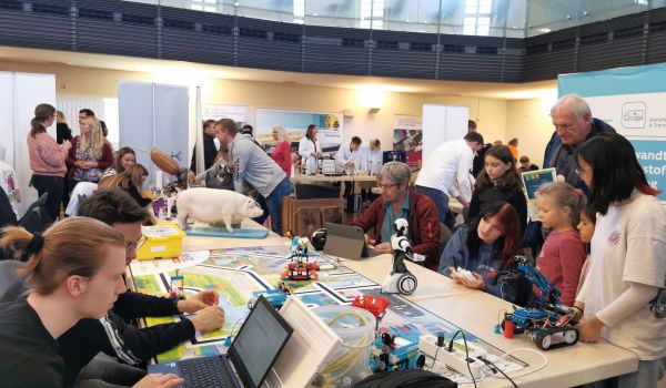 Kinder experimentieren mit Robotern.