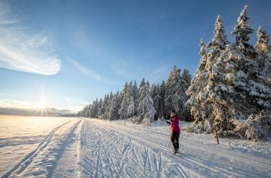 Auf einer verschneiten Wiese fährt jemand Ski. Rechts daneben ein Wald. Die Sonne scheint.