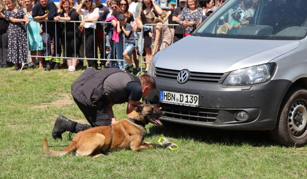 Ein Polizist mit einem Spürhund auf einer Wiese.
