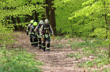Vier Feuerwehrmänner in Schutzkleidung laufen hintereinander einen Wald entlang.