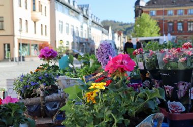 Blumen auf dem Markt.