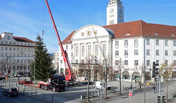 Vor dem Sonneberger Rathaus stellt ein Kran einen großen Weihnachtsbaum auf.