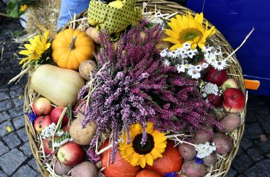 Ein bunter Korb mit Sonnenblumen, Kartoffeln, Kürbissen und Äpfeln dekoriert.