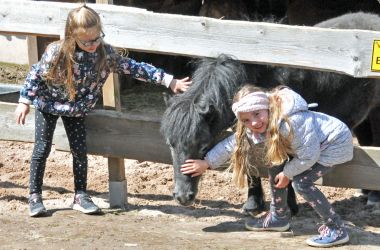 Zwei Kinder streicheln ein Ponny.