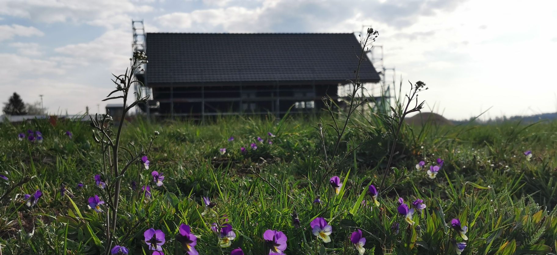 51+ Garten Pachten Stadt Frankfurt, Grundstücke pachten oder mieten