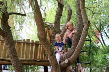 Zwei Mädchen sitzen in einem Baum auf einem Spielplatz.