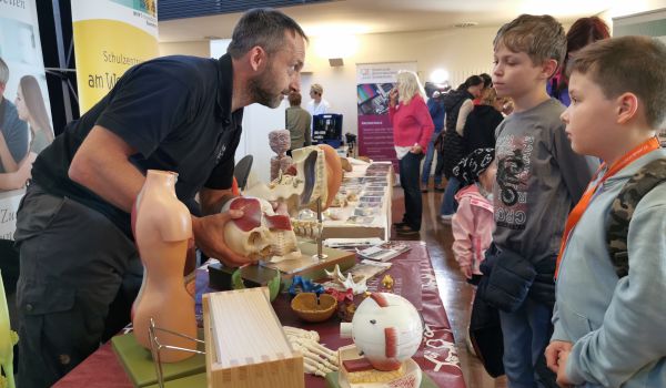 Interessierte schauen sich Modelle von Organen an.