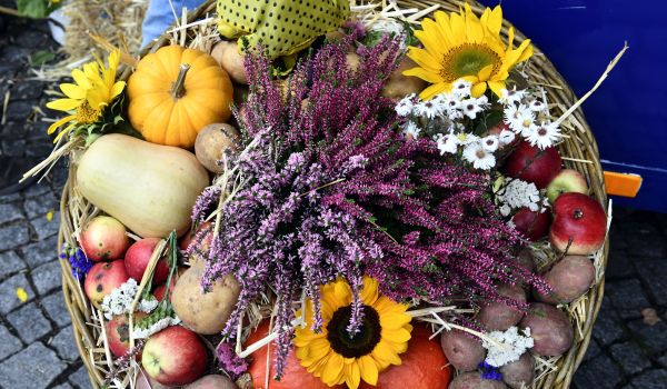 Ein herbstlicher Korb mit Obst und Gemüse.
