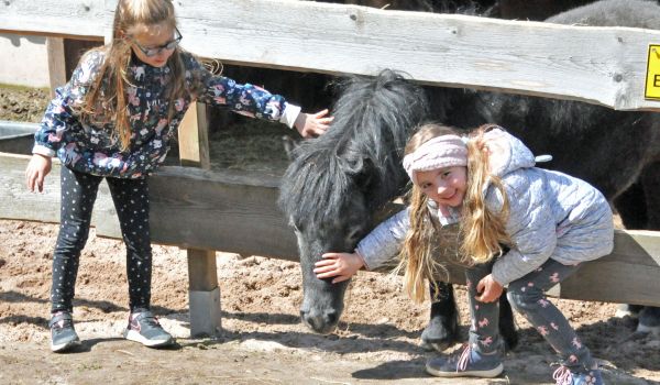 Zwei Kinder streicheln ein Ponny.