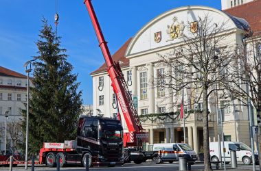 Vor dem Sonneberger Rathaus stellt ein Kran einen großen Weihnachtsbaum auf.