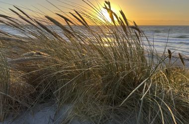 Eine Dühne bei Sonnenaufgang.