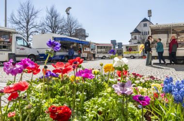 Treiben auf dem Monatsmarkt