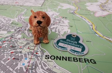 Eine Hundefigur und eine Hundemarke auf einer Stadtkarte von Sonneberg.